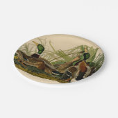 Mallard Duck Audubon Bird Painting Papieren Bordje (Gekanteld)