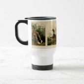 Mallard Duck Audubon Bird Painting Reisbeker (Links)