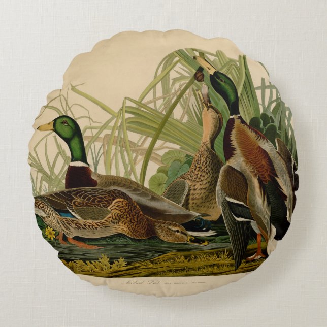 Mallard Duck Audubon Bird Painting Rond Kussen (Voorkant)