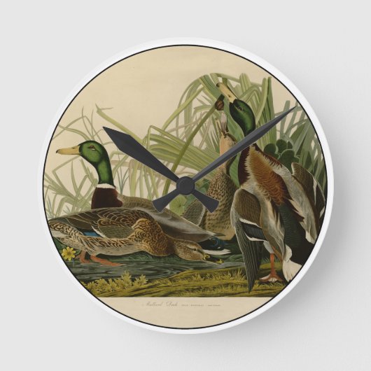 Mallard Duck Audubon Bird Painting Ronde Klok (Voorkant)