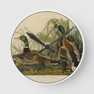Mallard Duck Audubon Bird Painting Ronde Klok