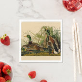 Mallard Duck Audubon Bird Painting Servet (Insitu)
