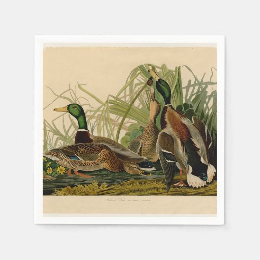 Mallard Duck Audubon Bird Painting Servet (Voorkant)