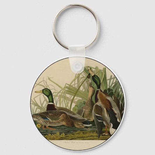 Mallard Duck Audubon Bird Painting Sleutelhanger (Voorkant)