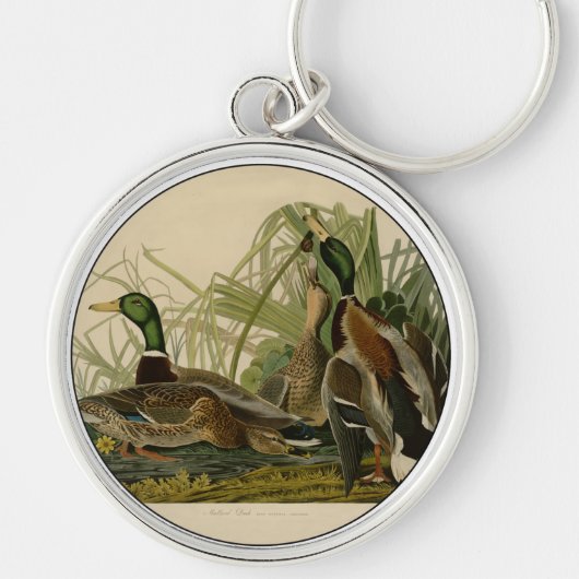 Mallard Duck Audubon Bird Painting Sleutelhanger (Voorkant)