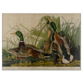 Mallard Duck Audubon Bird Painting Snijplank (Voorkant)