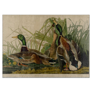Mallard Duck Audubon Bird Painting Snijplank