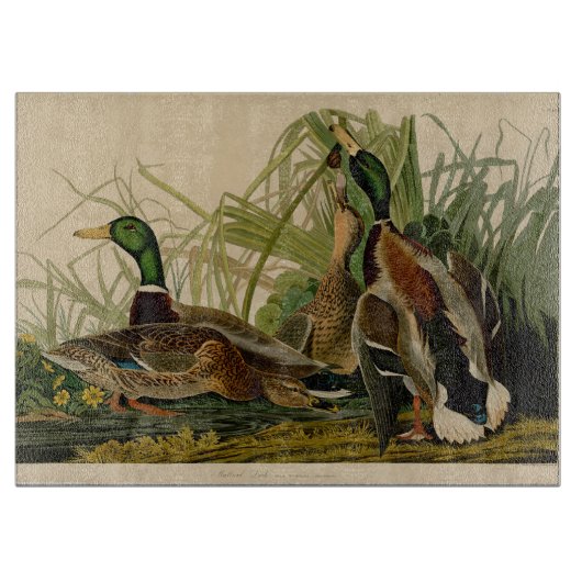 Mallard Duck Audubon Bird Painting Snijplank (Voorkant)