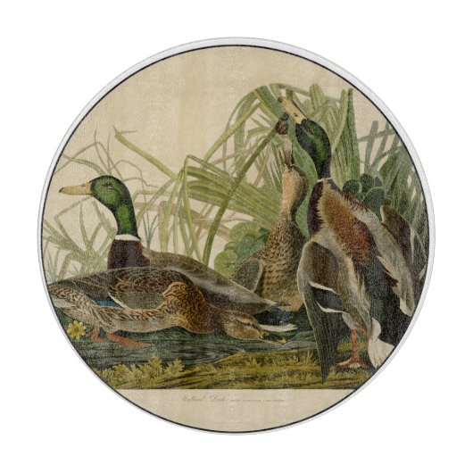 Mallard Duck Audubon Bird Painting Snijplank (Voorkant)