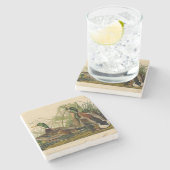 Mallard Duck Audubon Bird Painting Stenen Onderzetter (Zijkant)