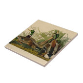 Mallard Duck Audubon Bird Painting Tegeltje (Zijkant)