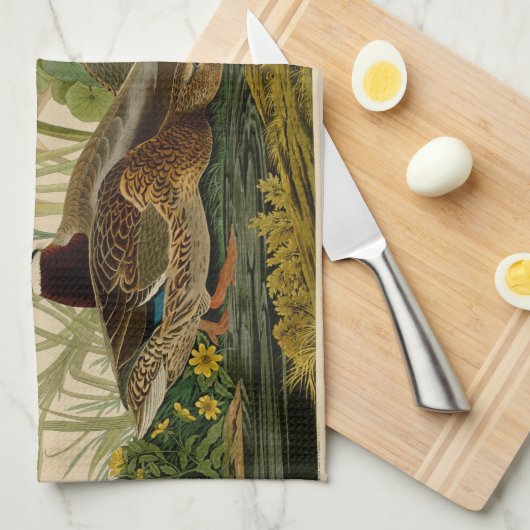 Mallard Duck Audubon Bird Painting Theedoek (Quarter Fold)