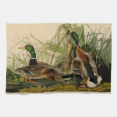 Mallard Duck Audubon Bird Painting Theedoek (Horizontaal)