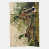 Mallard Duck Audubon Bird Painting Theedoek (Verticaal)