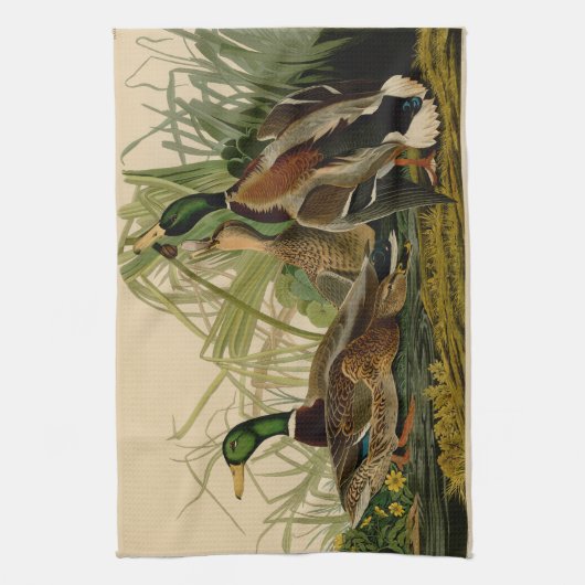 Mallard Duck Audubon Bird Painting Theedoek (Verticaal)