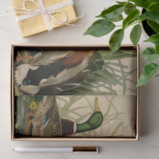 Mallard Duck Audubon Bird Painting Tissuepapier (Geschenk)