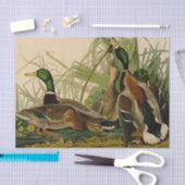 Mallard Duck Audubon Bird Painting Tissuepapier (Craft)