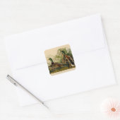 Mallard Duck Audubon Bird Painting Vierkante Sticker (Envelop)