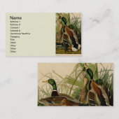 Mallard Duck Audubon Bird Painting Visitekaartje (Voorkant / Achterkant)
