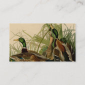 Mallard Duck Audubon Bird Painting Visitekaartje (Achterkant)