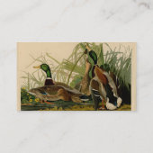 Mallard Duck Audubon Bird Painting Visitekaartje (Achterkant)