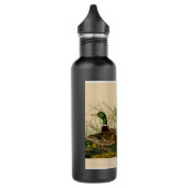 Mallard Duck Audubon Bird Painting Waterfles (Links)