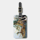 Mallard Duck Bagagelabel (Voorkant verticaal)