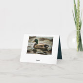 Mallard Duck Bedankkaart (Achterkant)