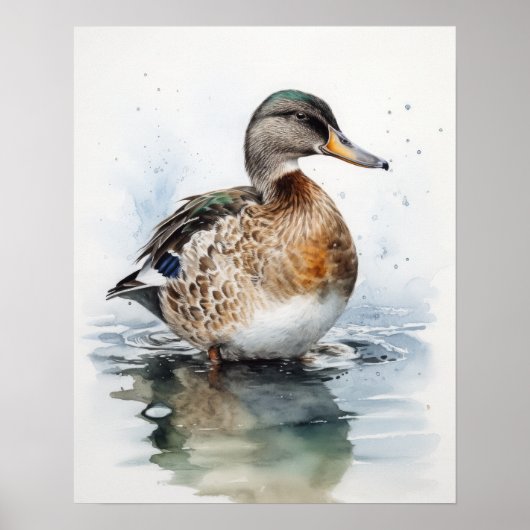 Mallard Duck Bird Art Print Poster (Voorkant)