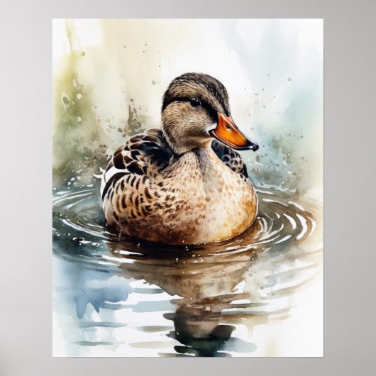 Mallard Duck Bird Art Print Poster (Voorkant)