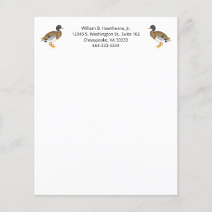 Mallard Duck Bird Natuur Animals Waterfowl Mannen