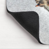 Mallard Duck Birdlover Wildlife Foto Muismat (Hoek)