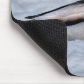 Mallard Duck Birdlover Wildlife Foto Muismat (Hoek)