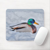 Mallard Duck Birdlover Wildlife Foto Muismat (Met muis)