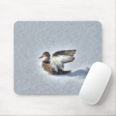 Mallard Duck Birdlover Wildlife Foto Muismat (Met muis)