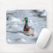 Mallard Duck Birdlover Wildlife Foto Muismat (Met muis)