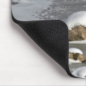 Mallard Duck Birdlover Wildlife Foto Muismat (Hoek)