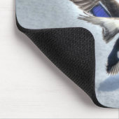 Mallard Duck Birdlover Wildlife Foto Muismat (Hoek)