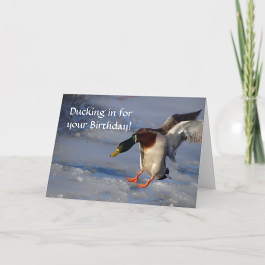 Mallard Duck Birthday Kaart (Voorkant)
