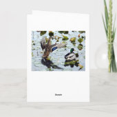 Mallard Duck (Bossen) Wenskaart Kaart (Achterkant)