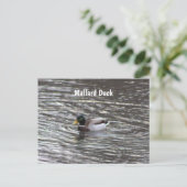 Mallard Duck Briefkaart (Staand voorkant)