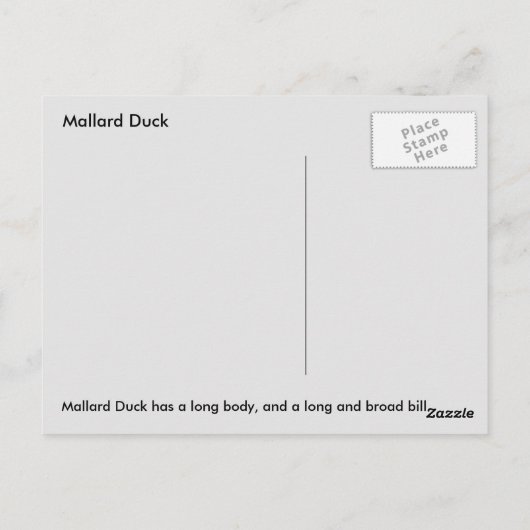 Mallard Duck Briefkaart (Achterkant)
