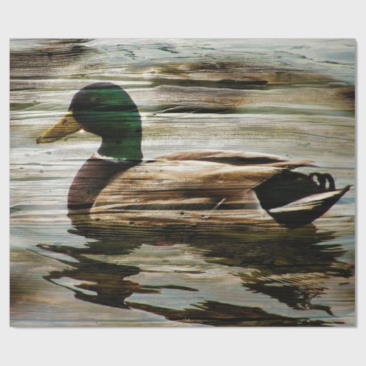 Mallard Duck Cadeaupapier (Vlak)