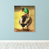 Mallard Duck Canvas Afdruk (Insitu (Houten vloer))