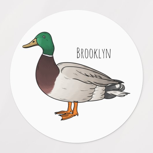 Mallard duck cartoon illustration labels (Design 1)