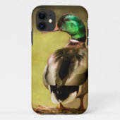 Mallard Duck Case-Mate iPhone Case (Achterkant)