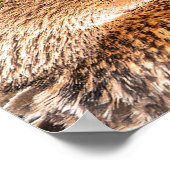 Mallard Duck Close-up-portret Poster (Hoek)