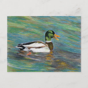 Mallard Duck Colored Pencil Tekening Briefkaart