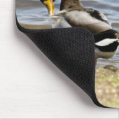 Mallard Duck Couple Muismat (Hoek)