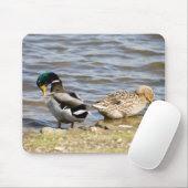 Mallard Duck Couple Muismat (Met muis)
